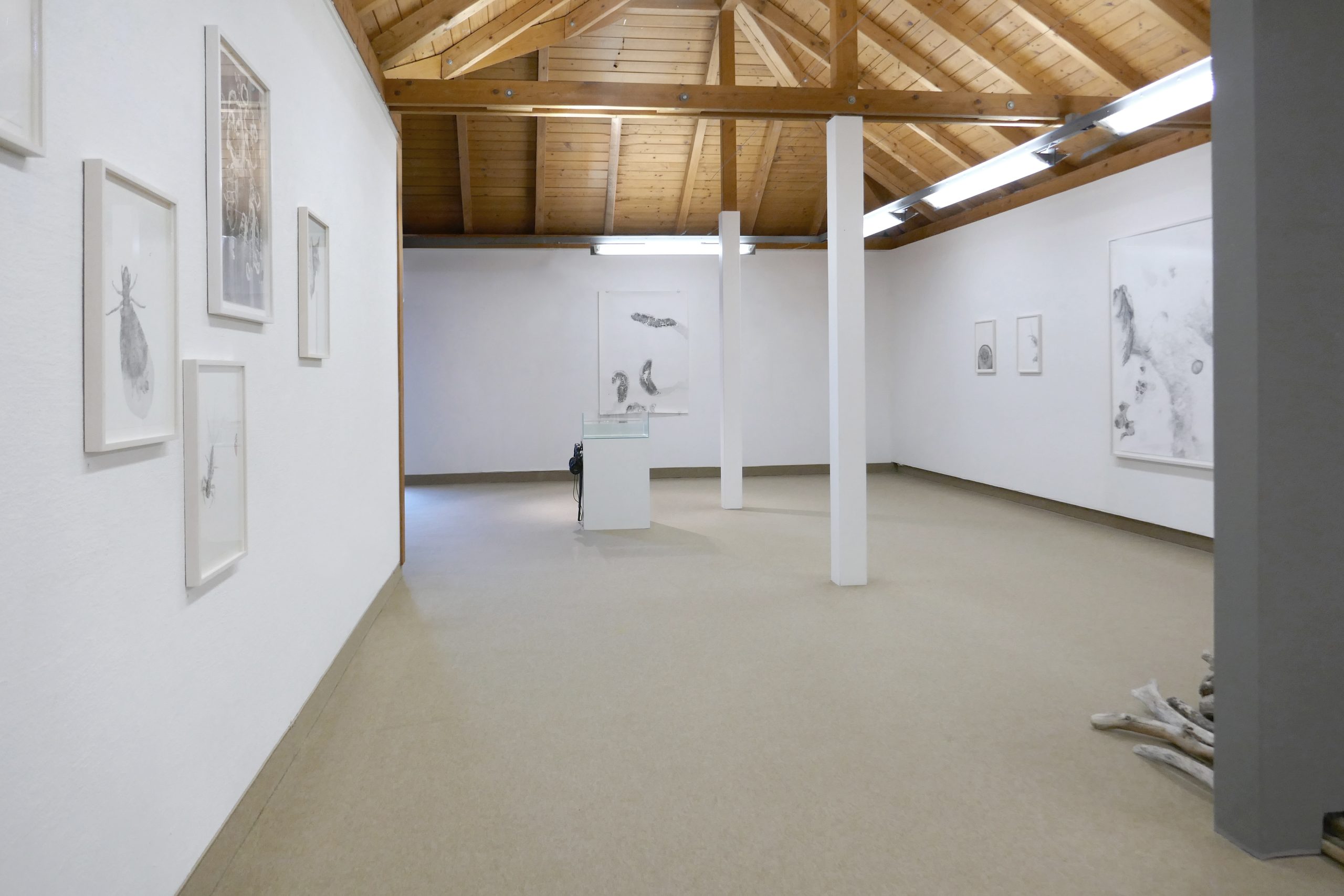https://www.nicoleschuck.de/wp-content/uploads/2025/08/01_Installationsansicht1_NSchuck_Kressbronn25-scaled.jpg