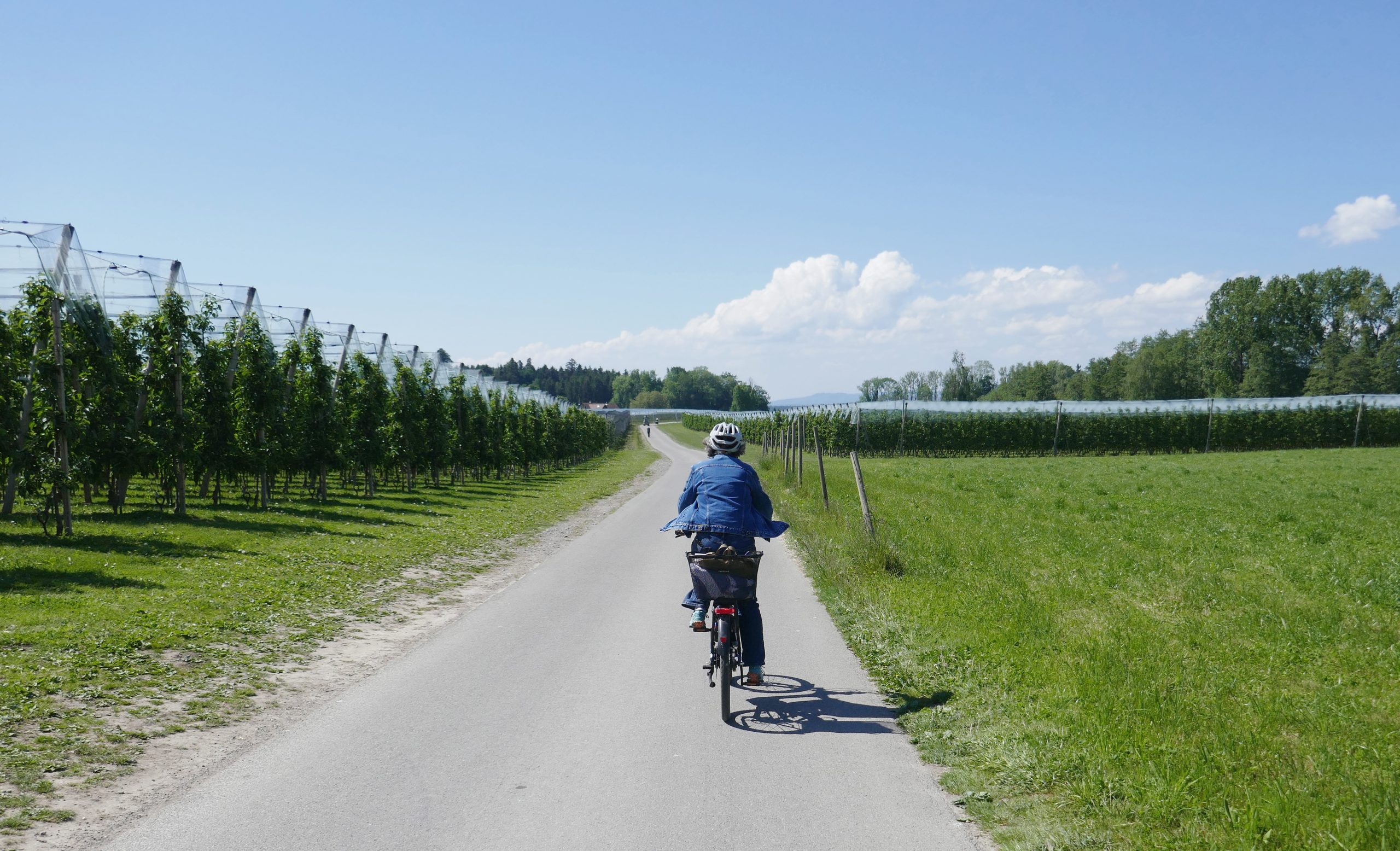 https://www.nicoleschuck.de/wp-content/uploads/2025/08/02_RadtourRohrnetzstroemung_P1310945_NSchuck25-scaled.jpg