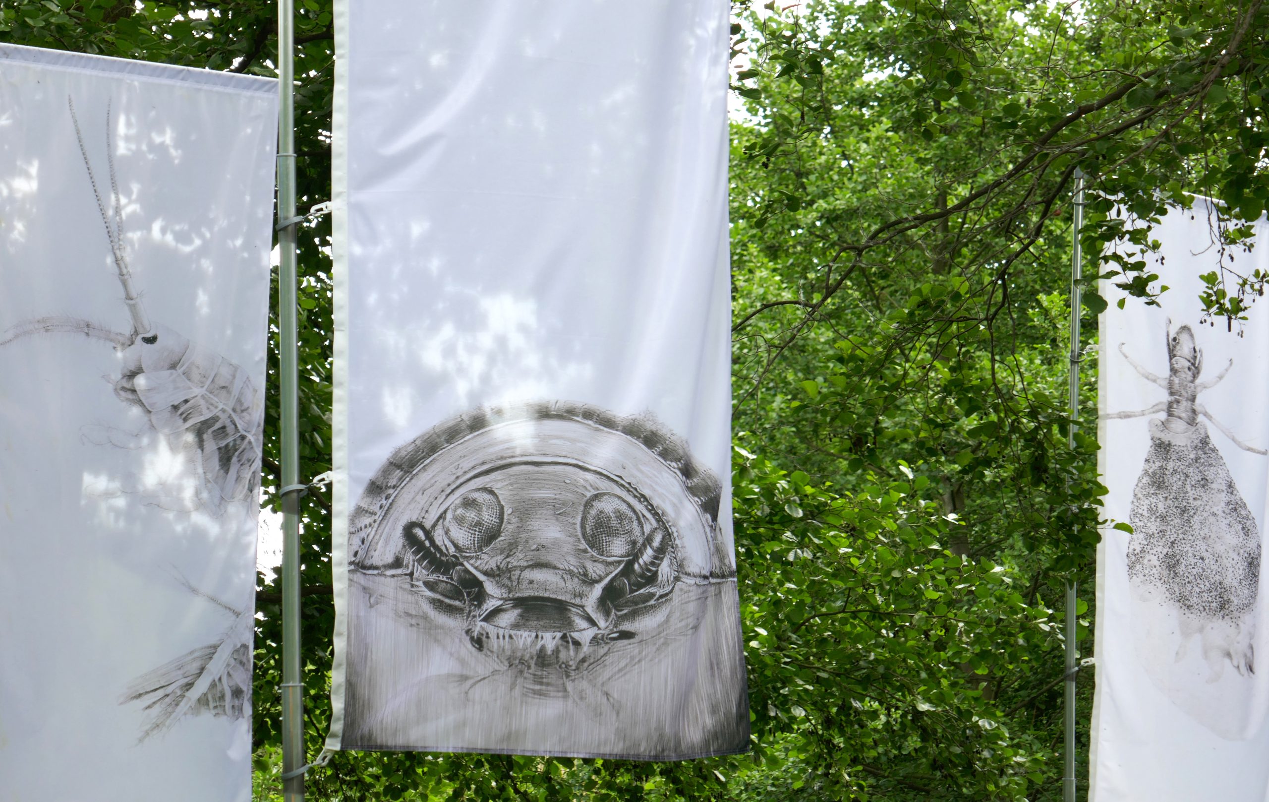 https://www.nicoleschuck.de/wp-content/uploads/2025/08/04_Detail_Flaggen_nahFlusskrebsTaumelkaeferKoecherflZeichng_NSchuck25-scaled.jpg