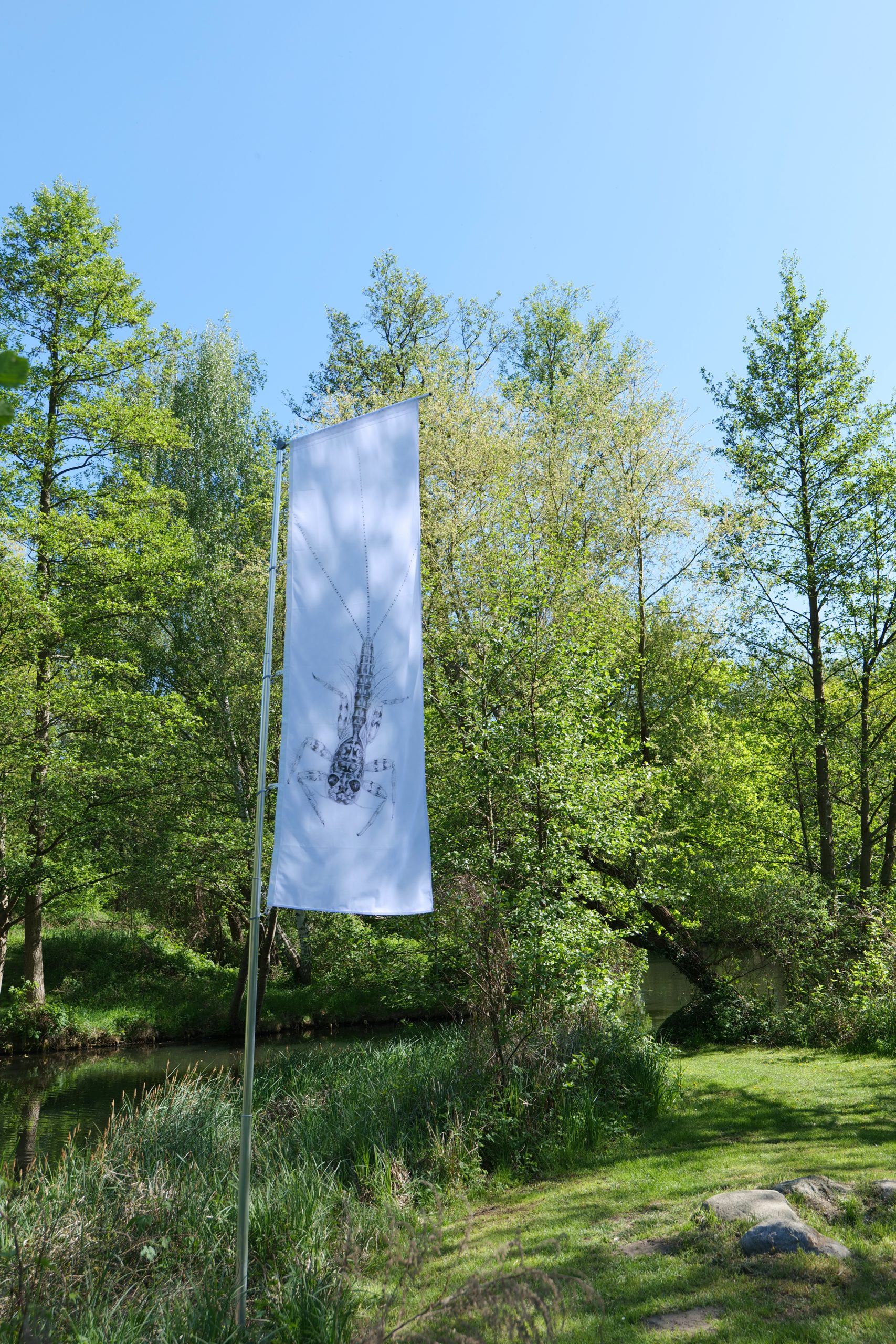https://www.nicoleschuck.de/wp-content/uploads/2025/08/06_Flagge_Eintagsfliege_N.Schuck25-scaled.jpg