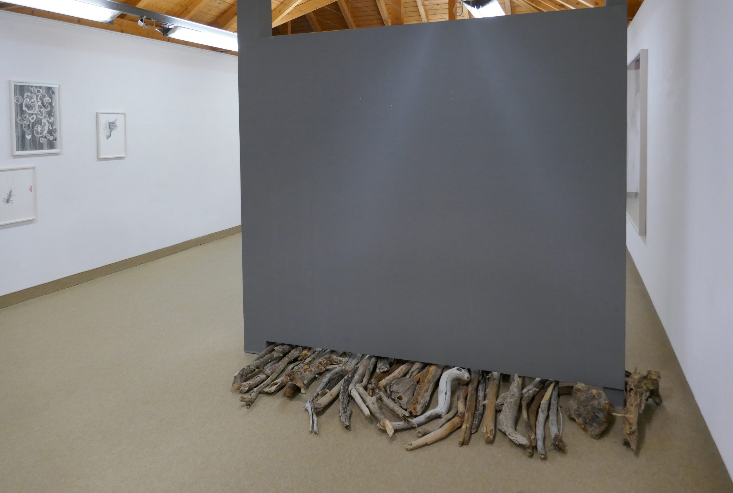 https://www.nicoleschuck.de/wp-content/uploads/2025/08/06_Installationsansicht3_NSchuck_Kressbronn25-scaled.jpg