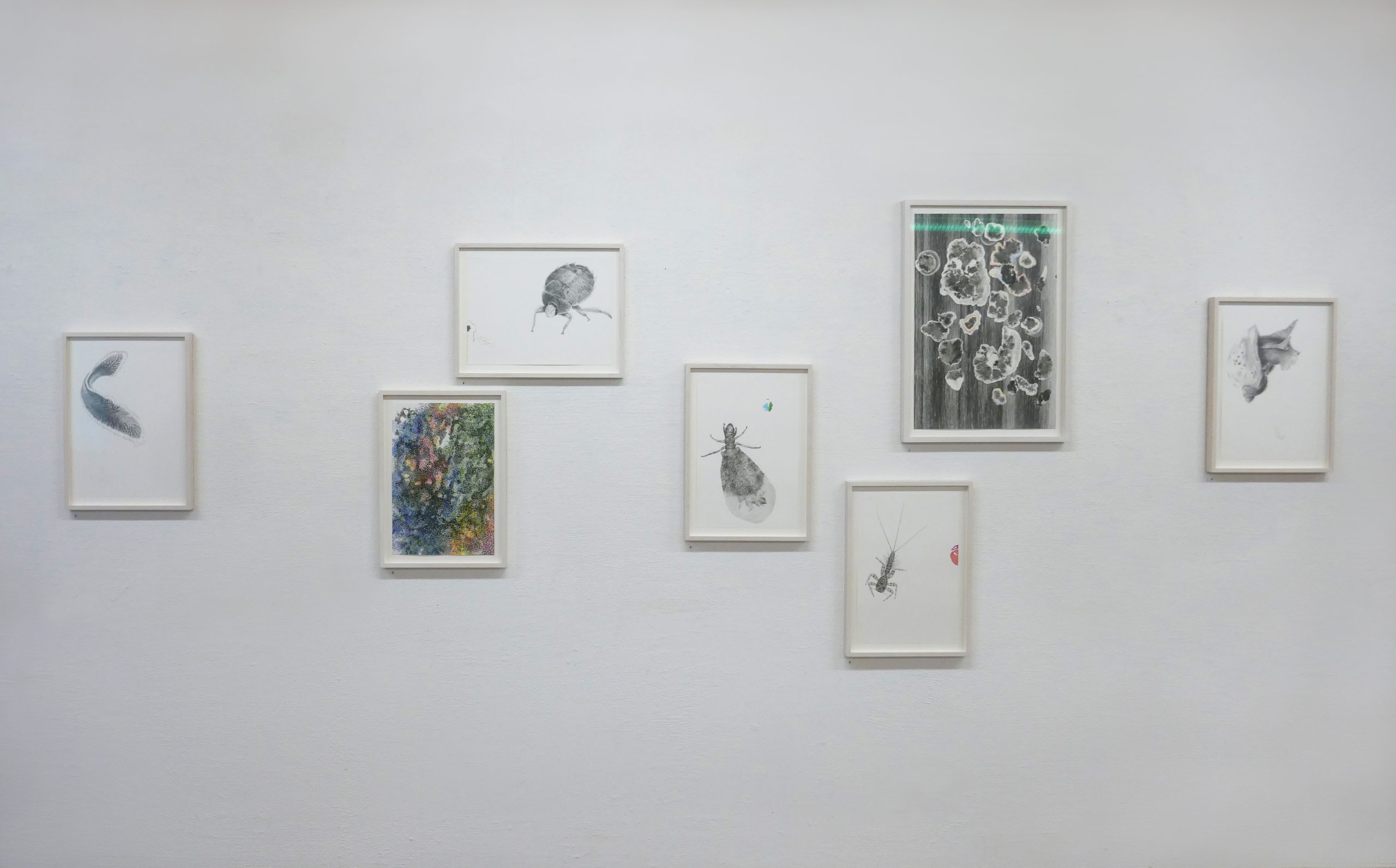 https://www.nicoleschuck.de/wp-content/uploads/2025/08/07_installationsansicht5_NSchuck_Kressbronn25-scaled.jpg