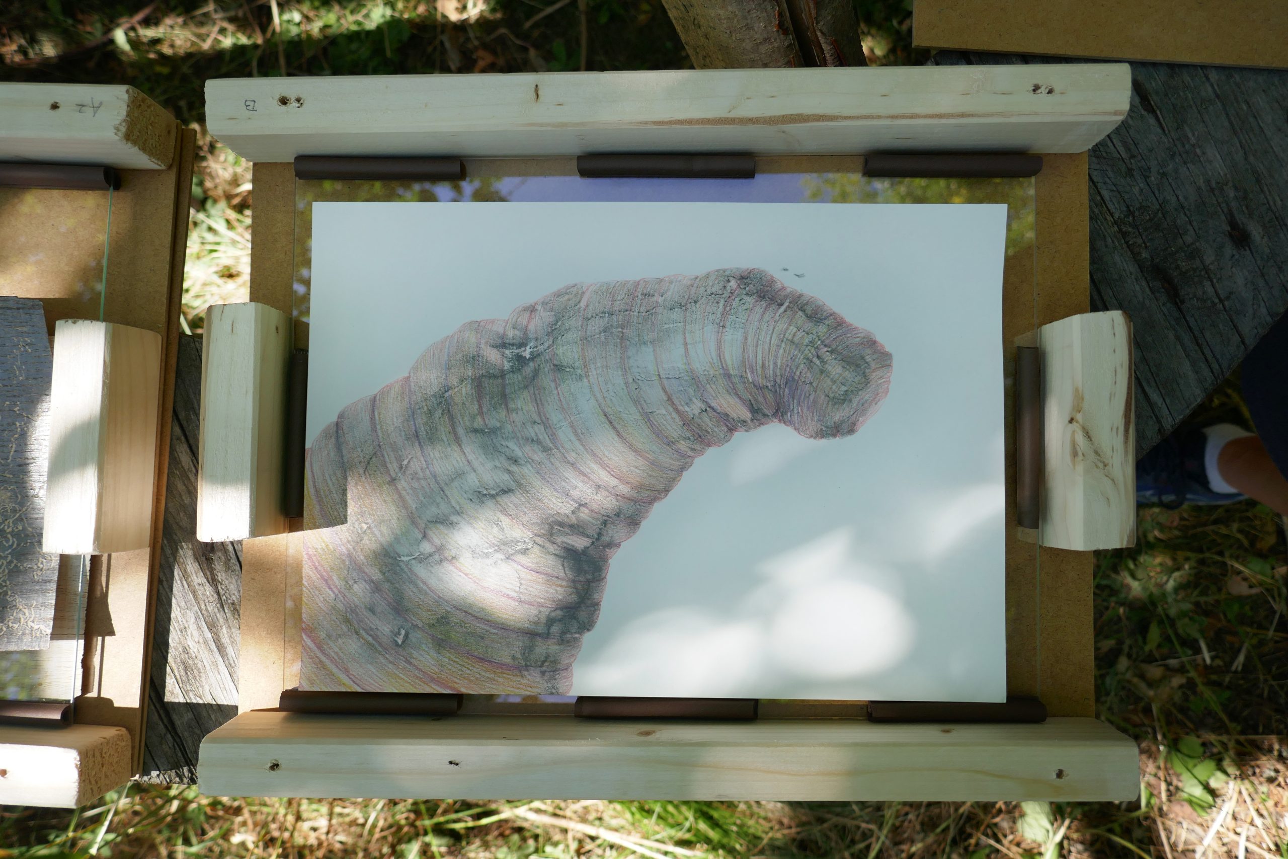 https://www.nicoleschuck.de/wp-content/uploads/2025/08/08_Eroeffnung_ZeichnungRegenwurm_NSchuck25-scaled.jpg